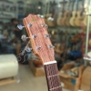 dan-guitar-acoustic-vinaguitar-vg-dv2-go-diep-co-bavel-100-go-thit