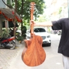 dan-guitar-acoustic-vg-dv6-bavel-go-diep-nguyen-tam-tang-12-phu-kien-va-bao-da