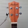 dan-ukulele-concert-andrew-cx83-vinaguitar-phan-phoi-chinh-hang