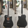 dan-guitar-acoustic-rosen-g13