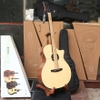 dan-guitar-acoustic-enya-x0-vinaguitar-phan-phoi-chinh-hang