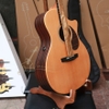 dan-guitar-enya-ega-x1-pro-max-eq-sp1-acousticplus-2-0-blutooth-hieu-ung-thu-am-