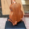 dan-guitar-acoustic-enya-x0-vinaguitar-phan-phoi-chinh-hang