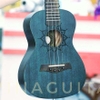 dan-ukulele-concert-tenor-andrew-lh02-vinaguitar-phan-phoi-chinh-hang