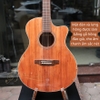 dan-guitar-acoustic-vg-fhd-full-go-hong-dao-vinaguitar-phan-phoi-chinh-hang
