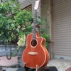 dan-guitar-acoustic-thanh-ly-trung-bay-vinaguitar-vg-fhd6-full-go-hong-dao-nguye