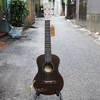 dan-ukulele-music-concert-tenor-full-go-cam-vinaguitar-phan-phoi-chinh-hang