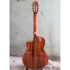 dan-guitar-acoustic-vg-d1