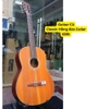 dan-guitar-classic-hong-dao-cu-650k-go-thit