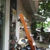 dan-guitar-acoustic-tre-em-3-4-go-hong-dao-thit-vg-hdbaby-tang-12-phu-kien-va-ba
