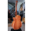 dan-guitar-acoustic-vg-hd-go-hong-dao-vinaguitar-phan-phoi-chinh-hang