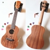 dan-ukulele-concert-bws-huou-full-go-mahogany-vinaguitar-phan-phoi-chinh-hang