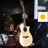 dan-guitar-acoustic-vg-mg4