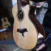 dan-guitar-acoustic-go-cam-vg-cv1-vinaguitar-phan-phoi-chinh-hang