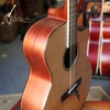 dan-guitar-acoustic-vg-hd2-vinaguitar-phan-phoi-chinh-hang