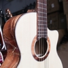 dan-guitar-acoustic-vg-d1