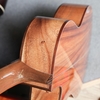 dan-guitar-acoustic-vg-d1