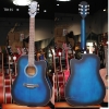 dan-guitar-acoustic-vg-tr155
