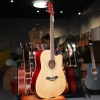 dan-guitar-acoustic-vg-tr155