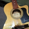 dan-guitar-acoustic-ba-don-j120-vinaguitar-phan-phoi-chinh-hang
