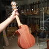 dan-ukulele-concert-tenor-music-khuyet-full-go-mahogany-vinaguitar-phan-phoi-chi