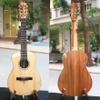 dan-guitar-acoustic-vinaguitar-vg-d2-1-2-mini-dai-88cm-guitar-co-nho-tre-em-du-l