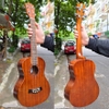 dan-ukulele-andrew-lh01-concert-tenor-cao-cap-go-thit-vinaguitar-phan-phoi-chinh