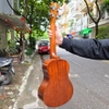 dan-ukulele-andrew-lh01-concert-tenor-cao-cap-go-thit-vinaguitar-phan-phoi-chinh