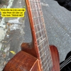 dan-ukulele-andrew-lh01-concert-tenor-cao-cap-go-thit-vinaguitar-phan-phoi-chinh