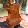 dan-guitar-martinez-mp14ov-chinh-hang-kem-eq-hieu-ung-double