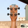 dan-ukulele-music-concert-tenor-mg-full-go-mahogany-vinaguitar-phan-phoi-chinh-h