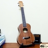 da-n-ukulele-bws-mgv-chu-full-go-mahogany-vinaguitar-phan-phoi-chinh-hang