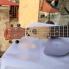 dan-ukulele-music-concert-tenor-co-4-la-vinaguitar-phan-phoi-chinh-hang