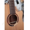 dan-guitar-acoustic-custom-vg-mg8