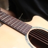 dan-guitar-acoustic-custom-vg-mg8