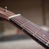 dan-guitar-acoustic-custom-vg-mg8