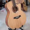 dan-guitar-acoustic-custom-vg-mg8