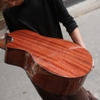 dan-guitar-acoustic-custom-vg-mg8