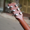 dan-guitar-acoustic-custom-vg-mg8
