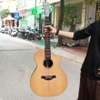 dan-guitar-acoustic-custom-vg-mg8