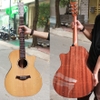 dan-guitar-acoustic-custom-vg-mg8