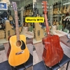 dan-guitar-acoustic-morris-w15-con-tot-am-hay