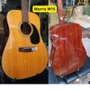 dan-guitar-acoustic-morris-w15-con-tot-am-hay