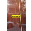 dan-guitar-acoustic-morris-w20-con-tot-am-hay