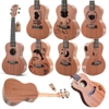 dan-ukulele-music-concert-tenor-kingdom-vinaguitar-phan-phoi-chinh-hang