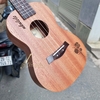 dan-ukulele-music-concert-tenor-co-4-la-vinaguitar-phan-phoi-chinh-hang