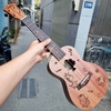 dan-ukulele-music-concert-tenor-kingdom-vinaguitar-phan-phoi-chinh-hang