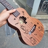dan-ukulele-music-concert-tenor-kingdom-vinaguitar-phan-phoi-chinh-hang