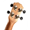 dan-ukulele-music-concert-tenor-kingdom-vinaguitar-phan-phoi-chinh-hang