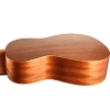 dan-ukulele-music-concert-tenor-kingdom-vinaguitar-phan-phoi-chinh-hang